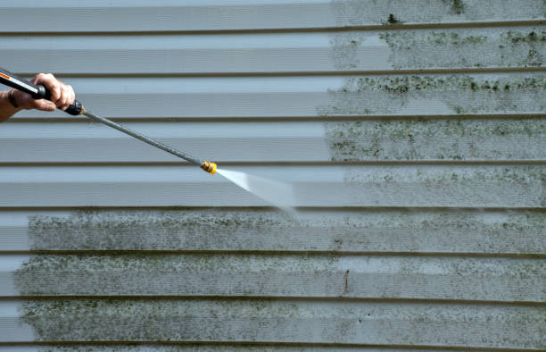 Best Sidewalk Pressure Washing  in Richwood, TX