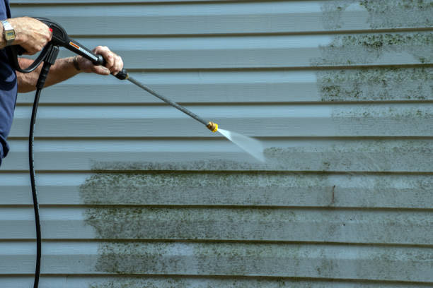 Best Affordable Pressure Washing  in Richwood, TX
