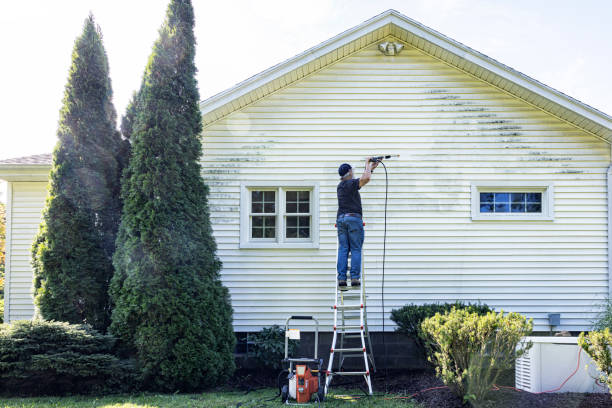 Best Residential Pressure Washing Services  in Richwood, TX