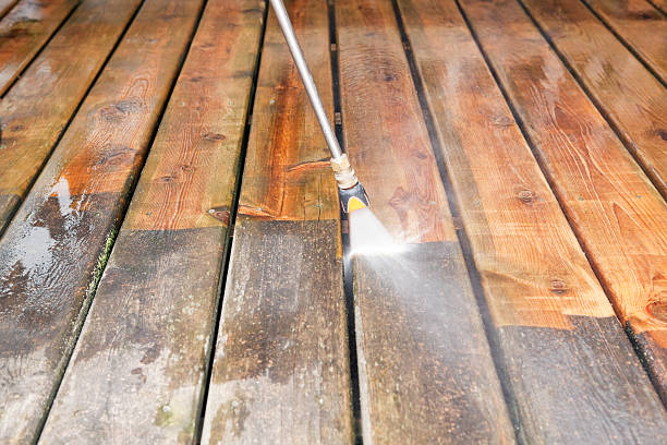 Best House Pressure Washing  in Richwood, TX